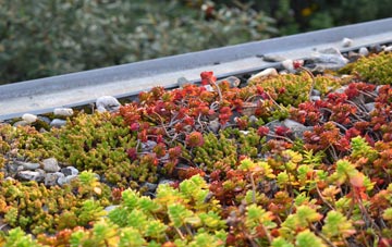 the cost of Wheal Frances green roof installation