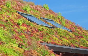 Wheal Frances living roof systems